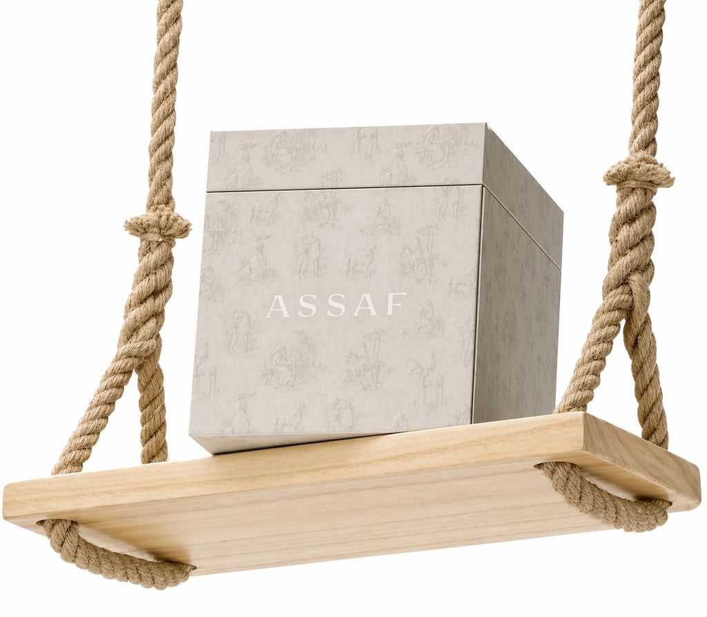 MUSK ASSAF